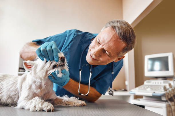 Best Emergency Tooth Extraction in White House Station, NJ